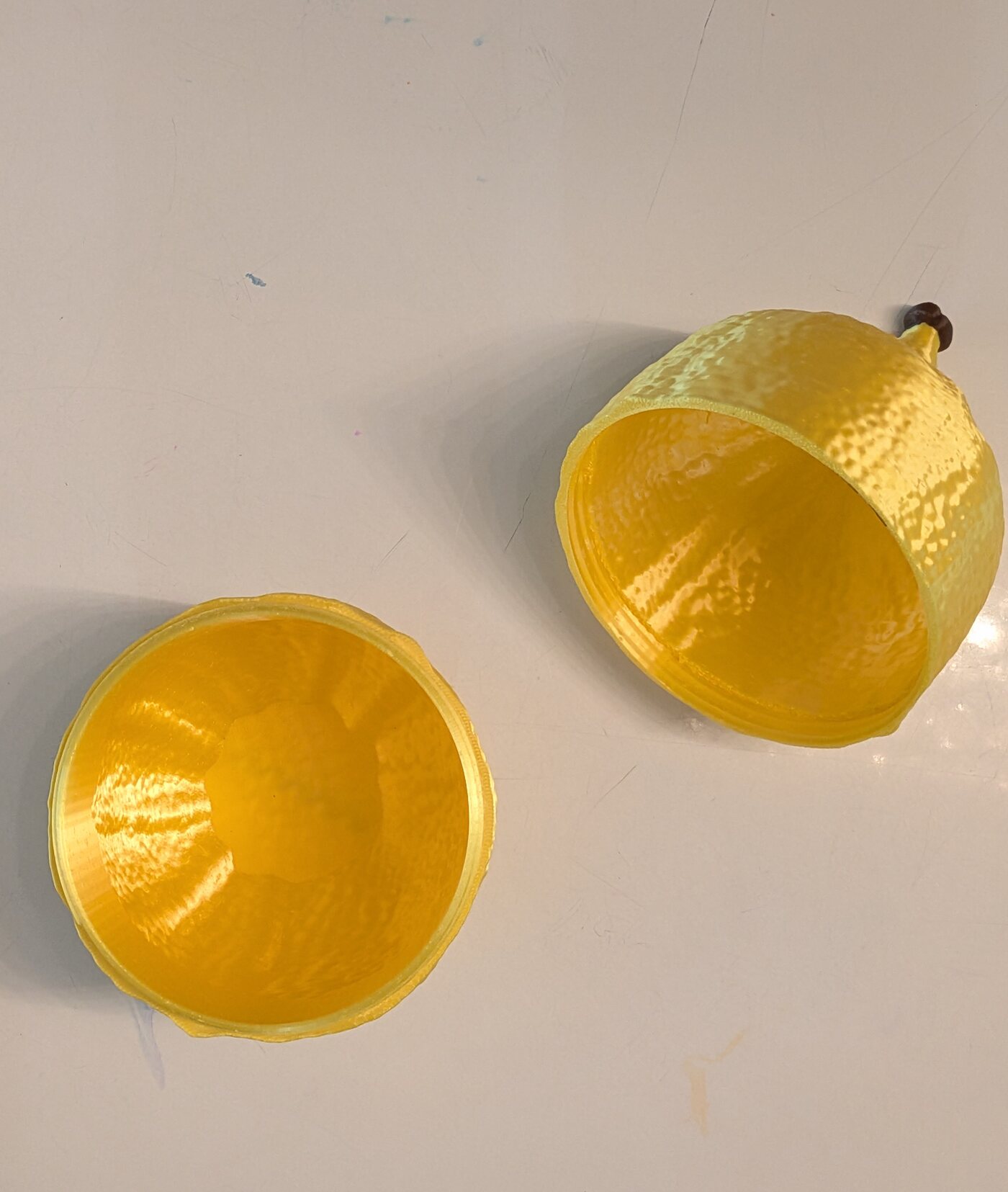 Both halves of the etrog case, open, showing the smooth printed interior.