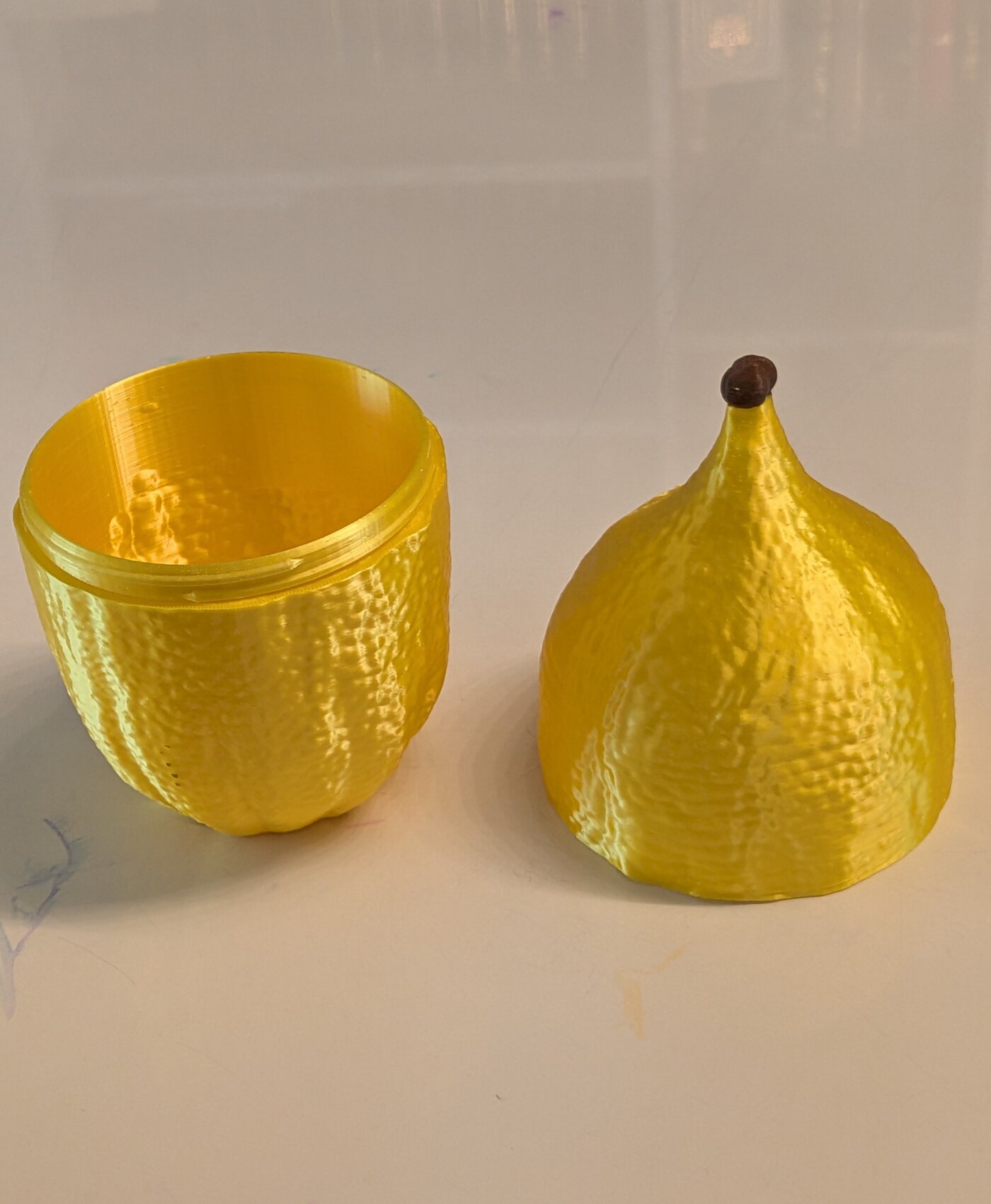 The etrog case twisted open into two halves, showing the hollow interior.
